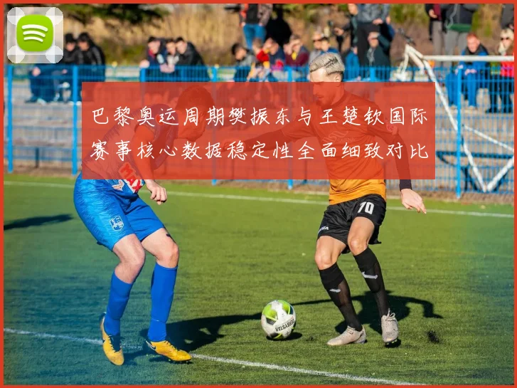 巴黎奥运周期樊振东与王楚钦国际赛事核心数据稳定性全面细致对比
