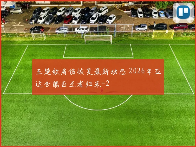 王楚钦肩伤恢复最新动态 2026年亚运会能否王者归来