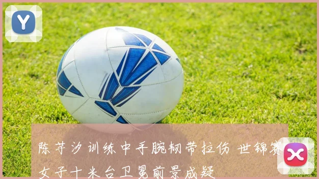 陈芋汐训练中手腕韧带拉伤 世锦赛女子十米台卫冕前景成疑