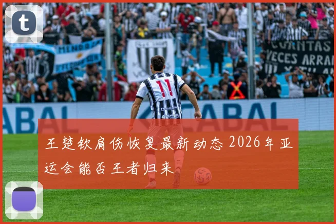 王楚钦肩伤恢复最新动态 2026年亚运会能否王者归来